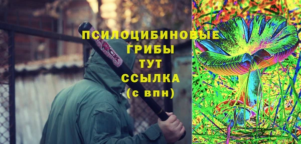 индика Козловка