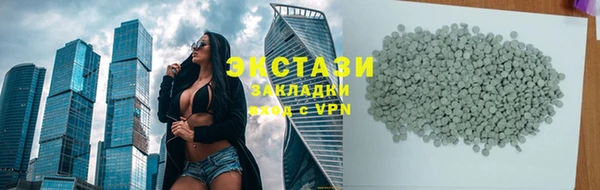 индика Козловка