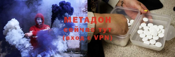 индика Козловка