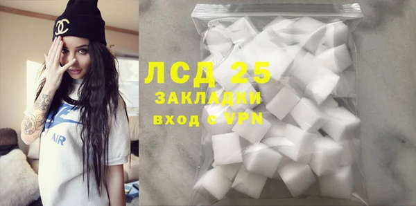 индика Козловка