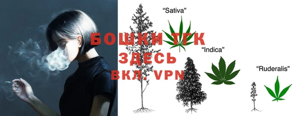 индика Козловка