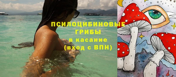 прущий лед Козельск