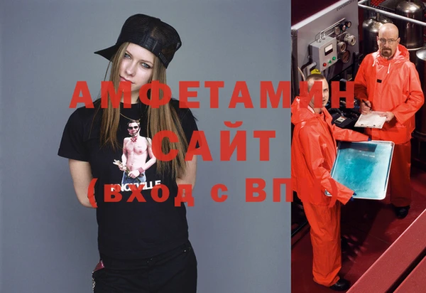 индика Козловка