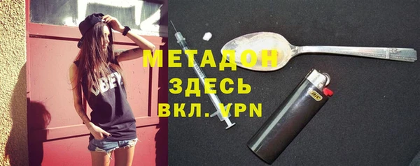 индика Козловка