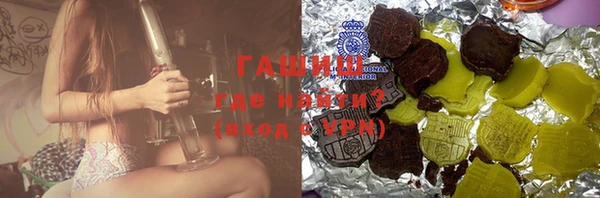 индика Козловка