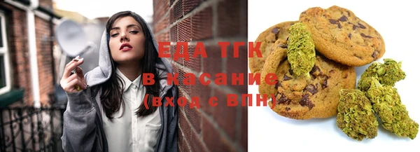 индика Козловка